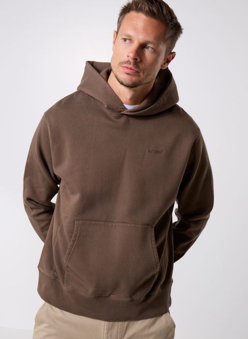 Levi's Sweats à capuche THE AUTHENTIC HOODIE BROWNS homme marron