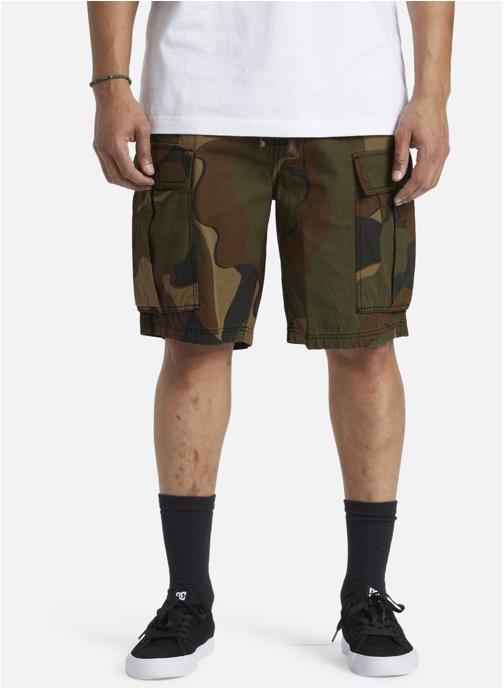 DC Shoes Shorts Tundra 22 homme multicolore