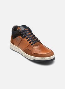Niedrige Sneaker Wolenn herren braun