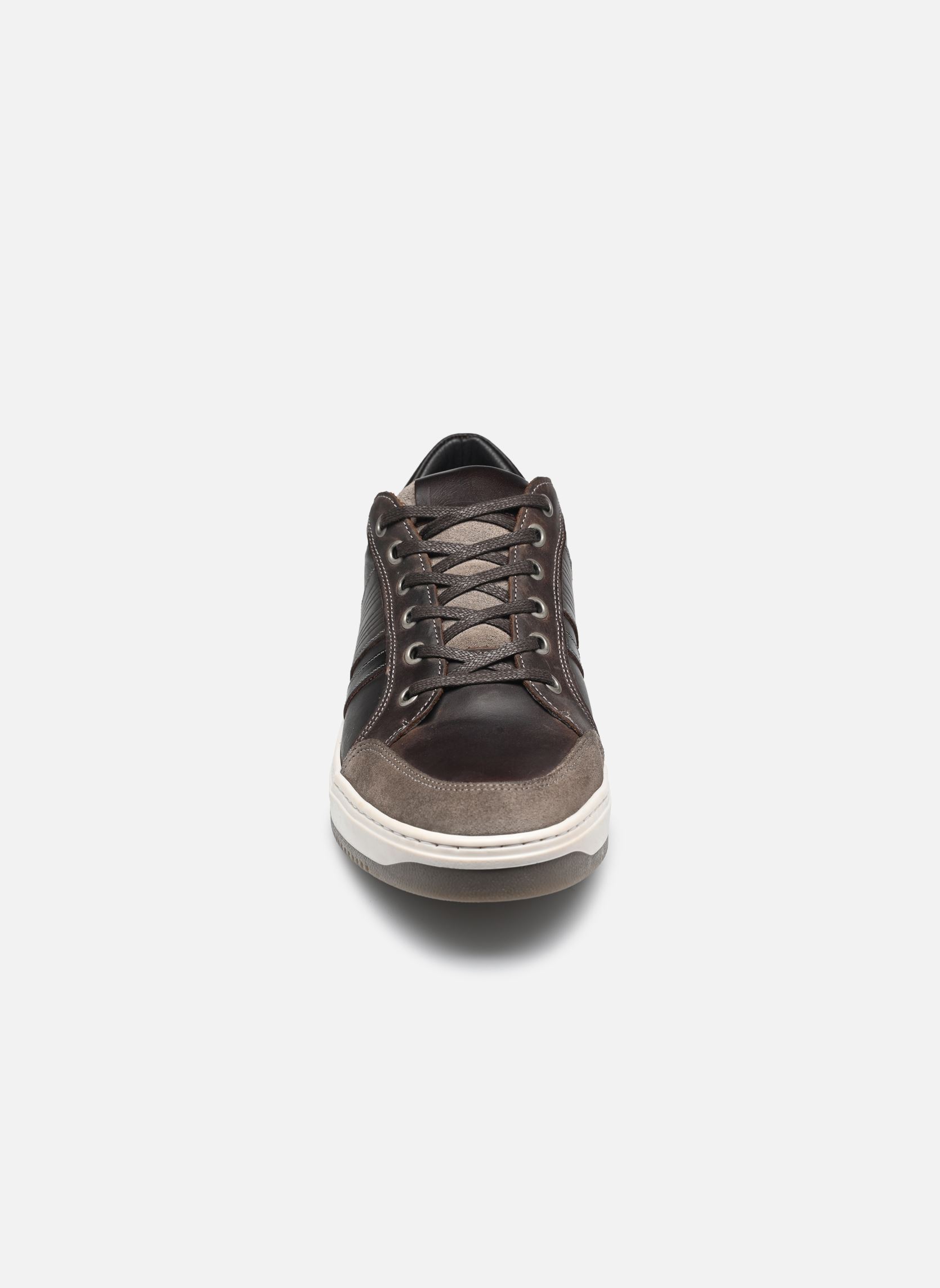 Lage sneakers Walnora heren grijs Marvin&Co Lage sneakers Walnora heren grijs Gris