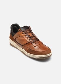 Baskets basses Welvina homme marron
