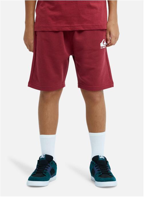 Quiksilver Shorts Short à taille élastique EASY DAY garçon rouge
