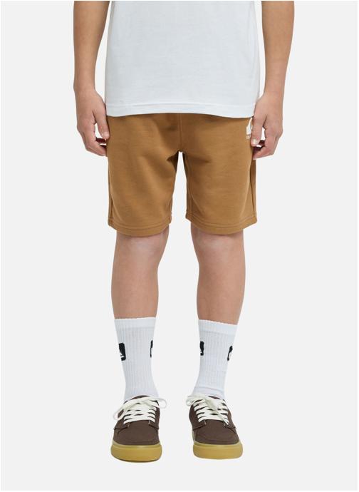 Quiksilver Shorts Short à taille élastique EASY DAY garçon marron