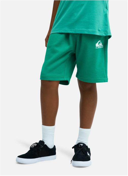 Quiksilver Shorts Short à taille élastique EASY DAY garçon vert