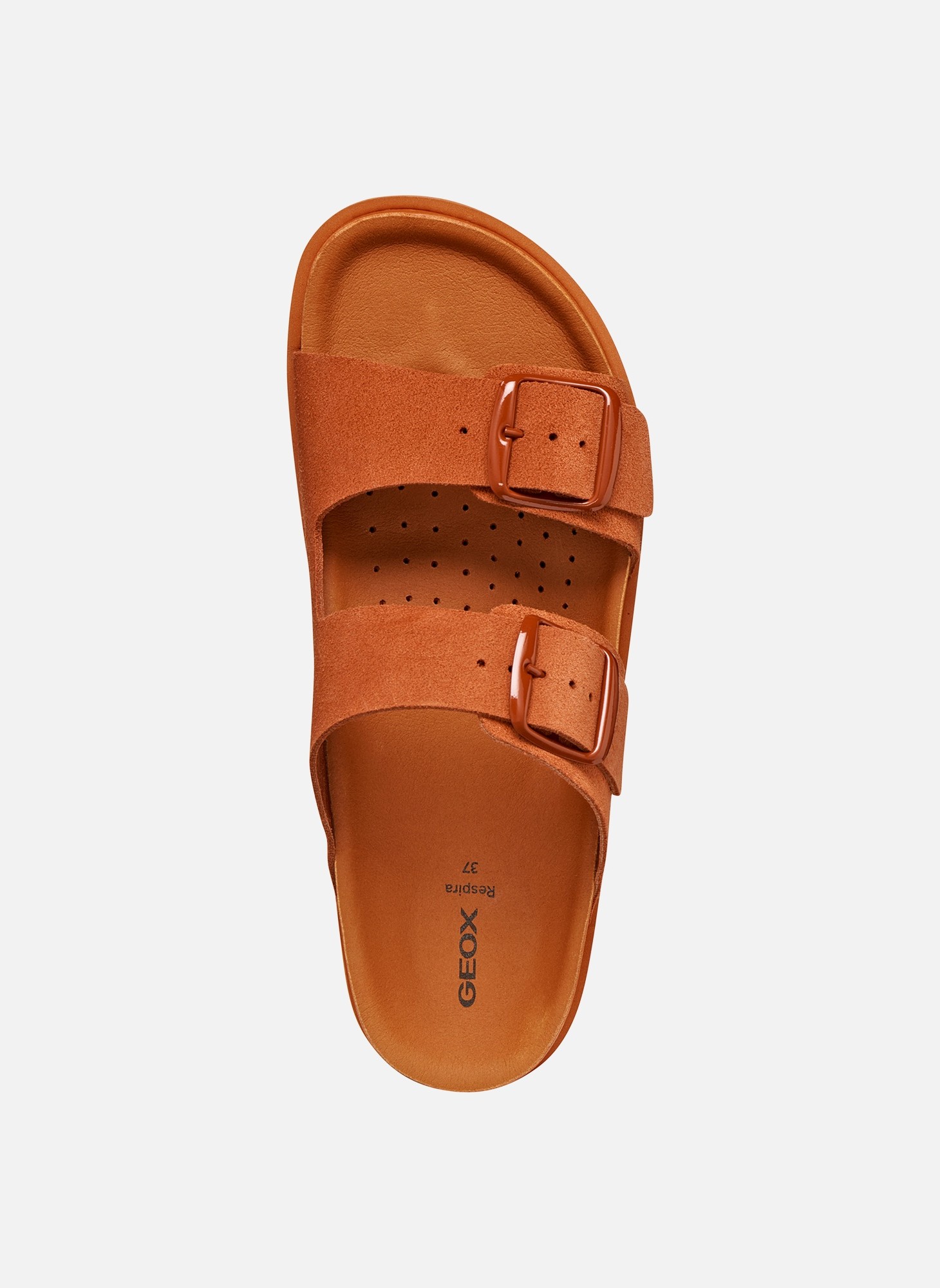 Mules D SANDYBETT femme marron Geox Mules D SANDYBETT femme marron Marron