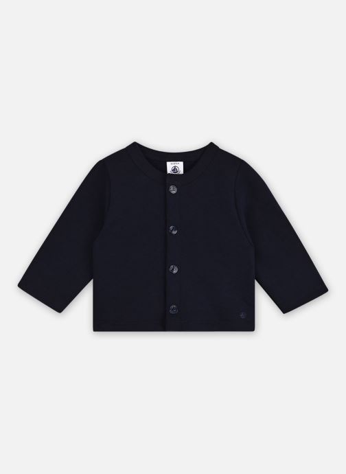 Petit Bateau Vesten Cerfa blauw