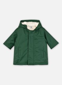 Wasserdichte Windbreaker / Wasserdichte Windjacken Caniche grün