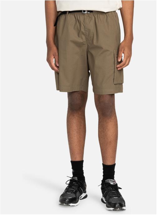 Element Shorts Short de marche cargo CHILLIN TRAVEL 19 homme marron