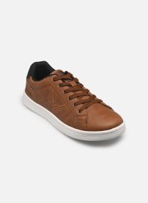 Baskets basses Darly homme marron
