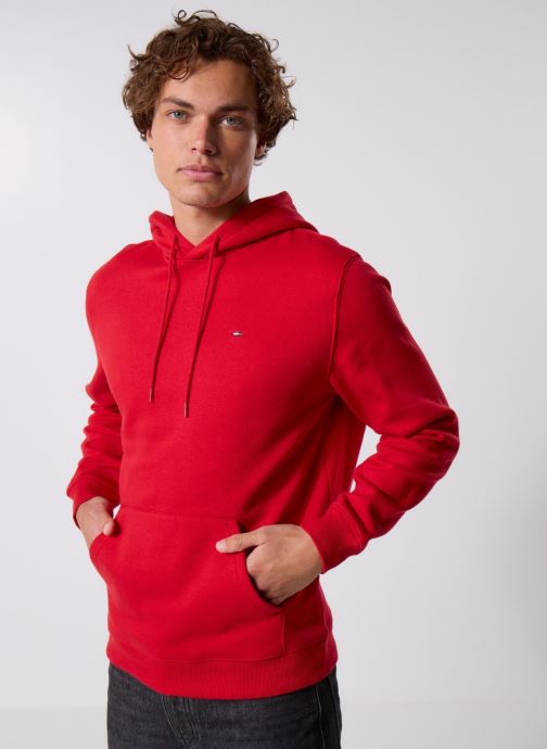 Tommy Jeans Hoodies TJM REG S FLAG HOODI heren rood