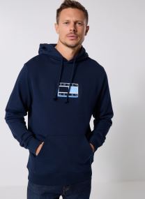 Sweats à capuche TJM REG POP CLR FLAG homme bleu