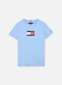 Tee-shirts manches courtes Tommy Script Flag Pr KB0KB09725 garçon bleu Tommy Hilfiger Tee-shirts manches courtes Tommy Script Flag Pr KB0KB09725 garçon bleu CLOUDY BLUE