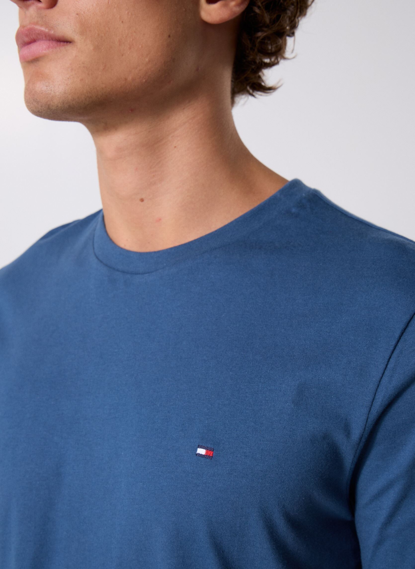 Tee-shirts manches courtes Ess Seasonal Reg Fit MW0MW39995DBZ homme bleu Tommy Hilfiger Tee-shirts manches courtes Ess Seasonal Reg Fit MW0MW39995DBZ homme bleu AEGEAN SEA