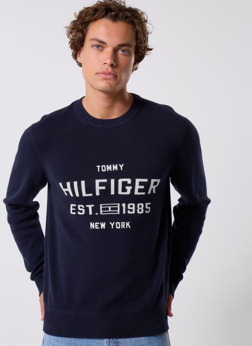 Tommy Hilfiger Pulls AthleisureCrew Neck MW0MW39533DW5 homme bleu