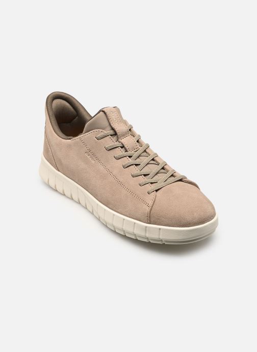 Geox Baskets basses U FLEXTRIDE PLUS A homme gris