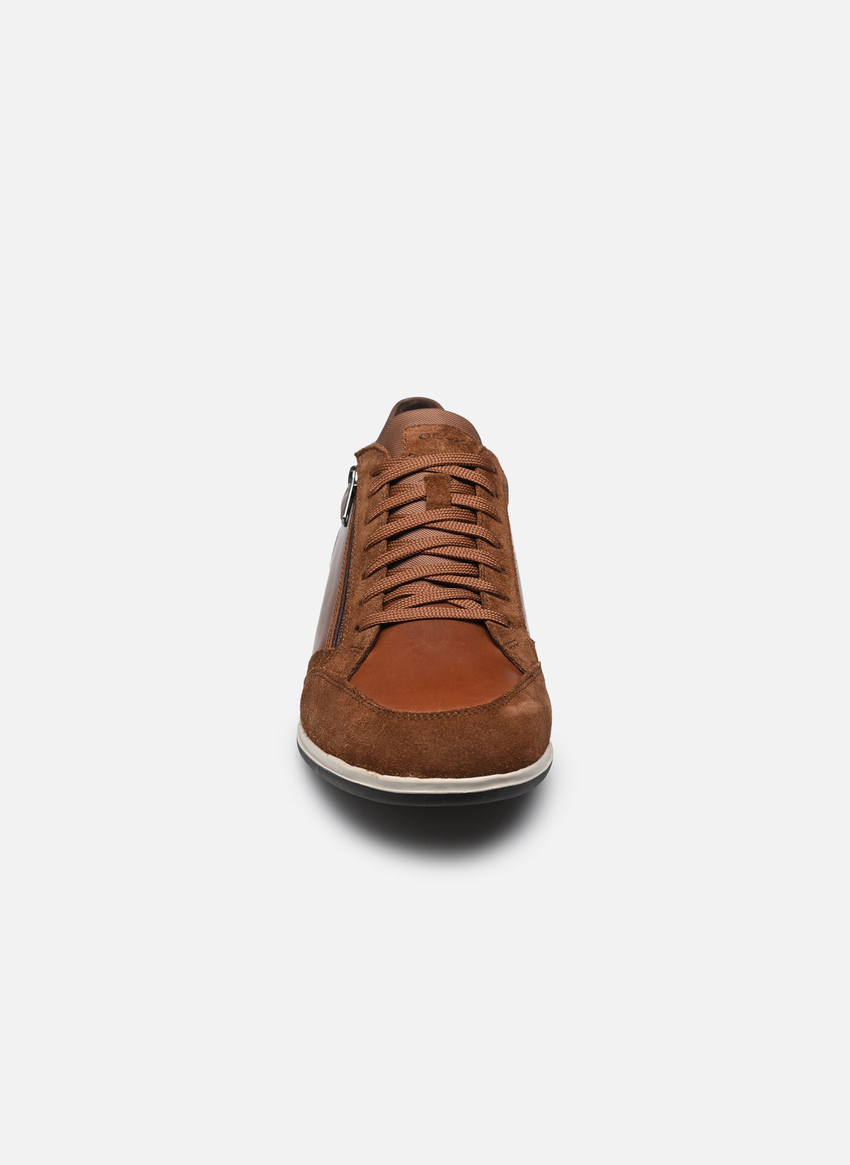 Baskets basses U RENAN A homme marron Geox Baskets basses U RENAN A homme marron Browncotto