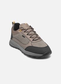 Baskets U TERRESTRE B ABX A homme gris