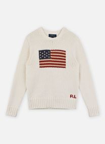 Pullover Flag Cn Swtr-Tops-Sweater 323668285006 jungen weiß