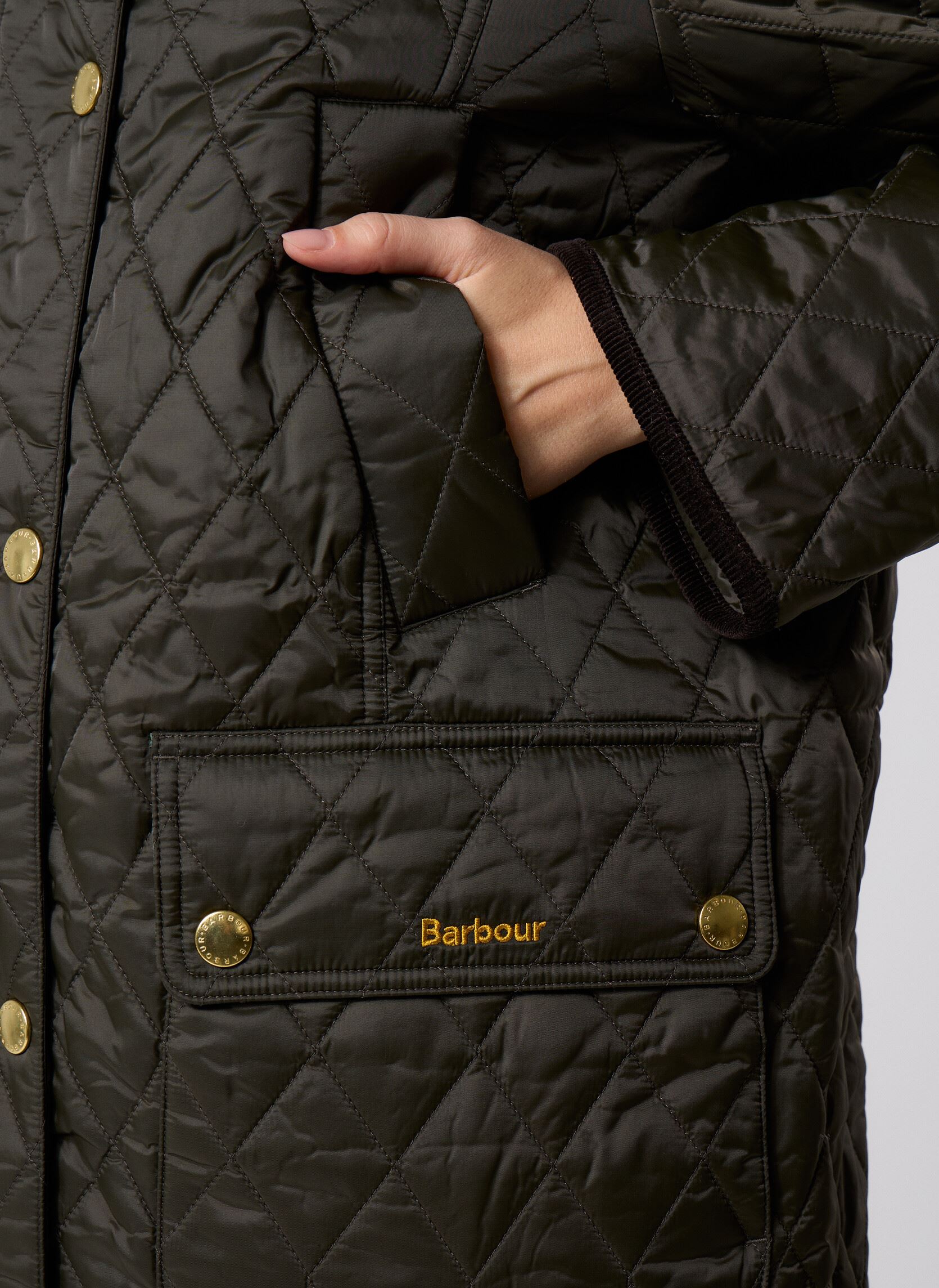 Gewatteerde jassen Modern Beadnell Quilted Jacket dames groen Barbour Gewatteerde jassen Modern Beadnell Quilted Jacket dames groen SAGEANCIENT