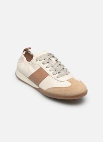 Baskets basses D MARYEMY B femme gris