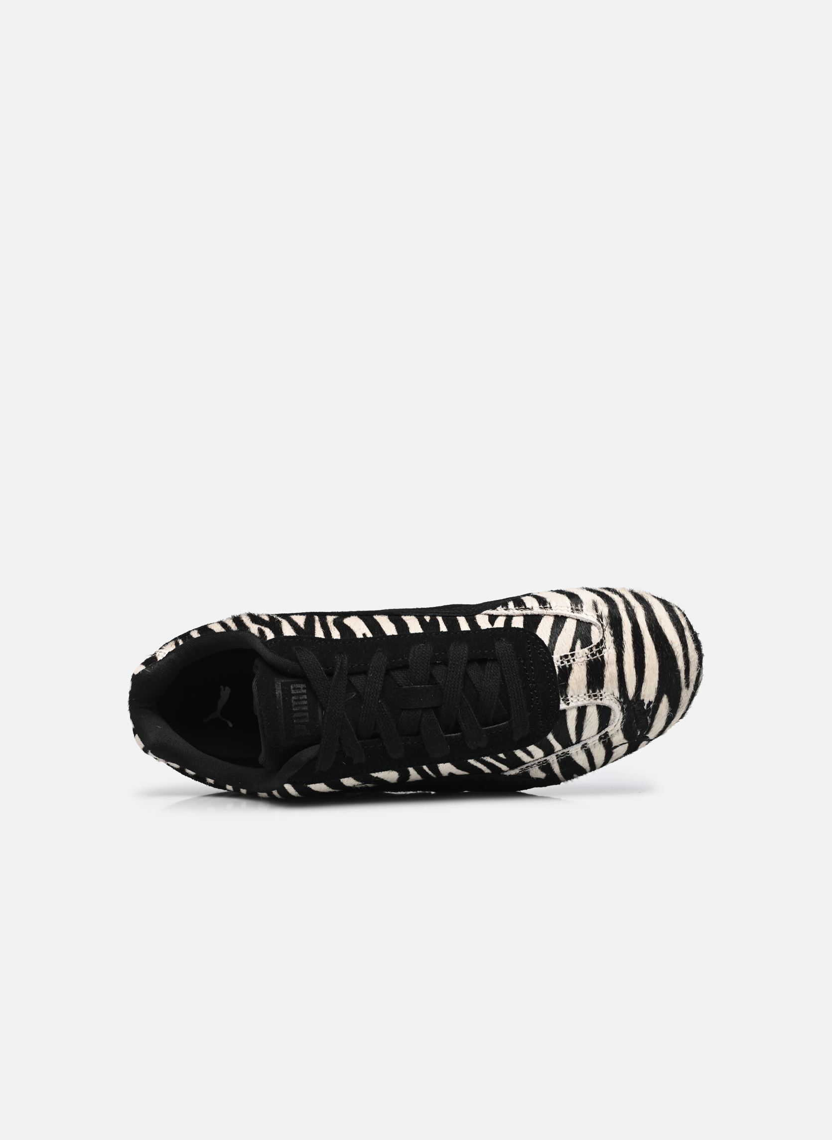 Niedrige Sneaker Speedcat Zebra Wns damen schwarz Puma Niedrige Sneaker Speedcat Zebra Wns damen schwarz WARM WHITE-PUMA