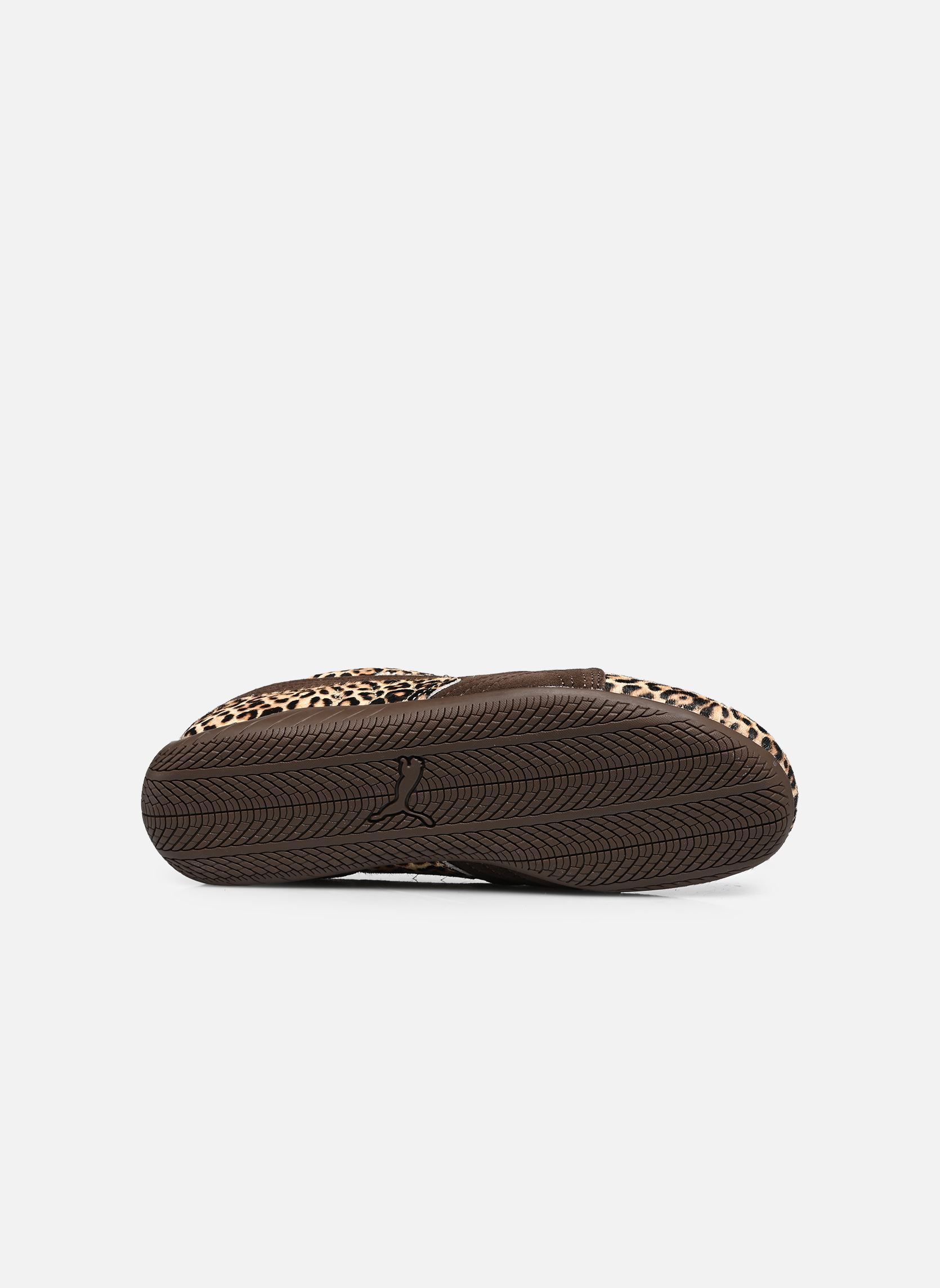 Niedrige Sneaker Speedcat Wild Wns damen braun Puma Niedrige Sneaker Speedcat Wild Wns damen braun CHOCOLATE-WARM W
