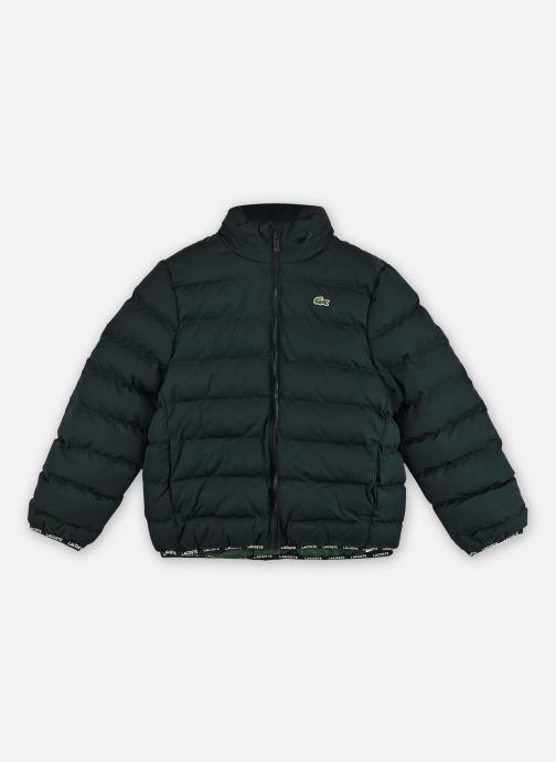 Lacoste Daunenjacken Mid Wt Puffer grün