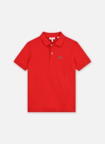 Polos Petite Pique Polo NPU garçon rouge Lacoste Polos Petite Pique Polo NPU garçon rouge LACOSTE ROUGE