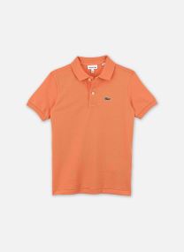 Polos SS Pique Polo garçon bleu