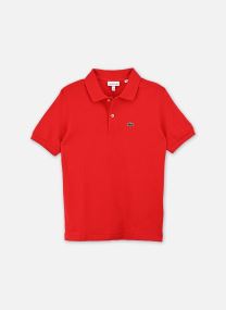 Polos SS Pique Polo garçon bleu