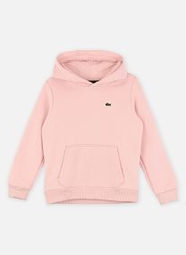 Kapuzenpullover Core Fleece Pullover Hoodie jungen blau