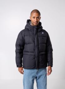 Parkas LE VRAI 4.0 AURELE HEAVY WARM - Unisexe homme gris