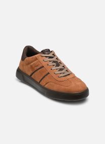 Baskets basses 13624-45 homme noir