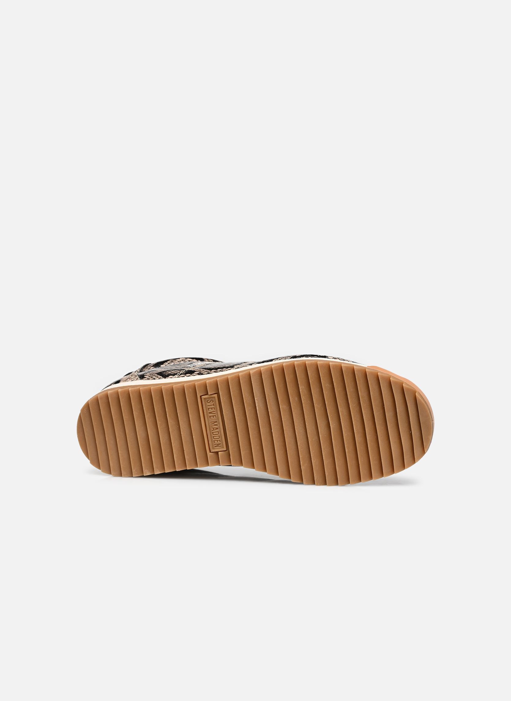 Baskets Mirage-Sm femme multicolore Steve Madden Baskets Mirage-Sm femme multicolore BEIG SNAKE