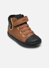 Baskets hautes B GISLI BOY C marron