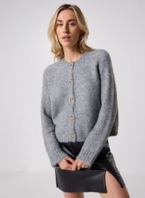 Vesten Salma dames grijs