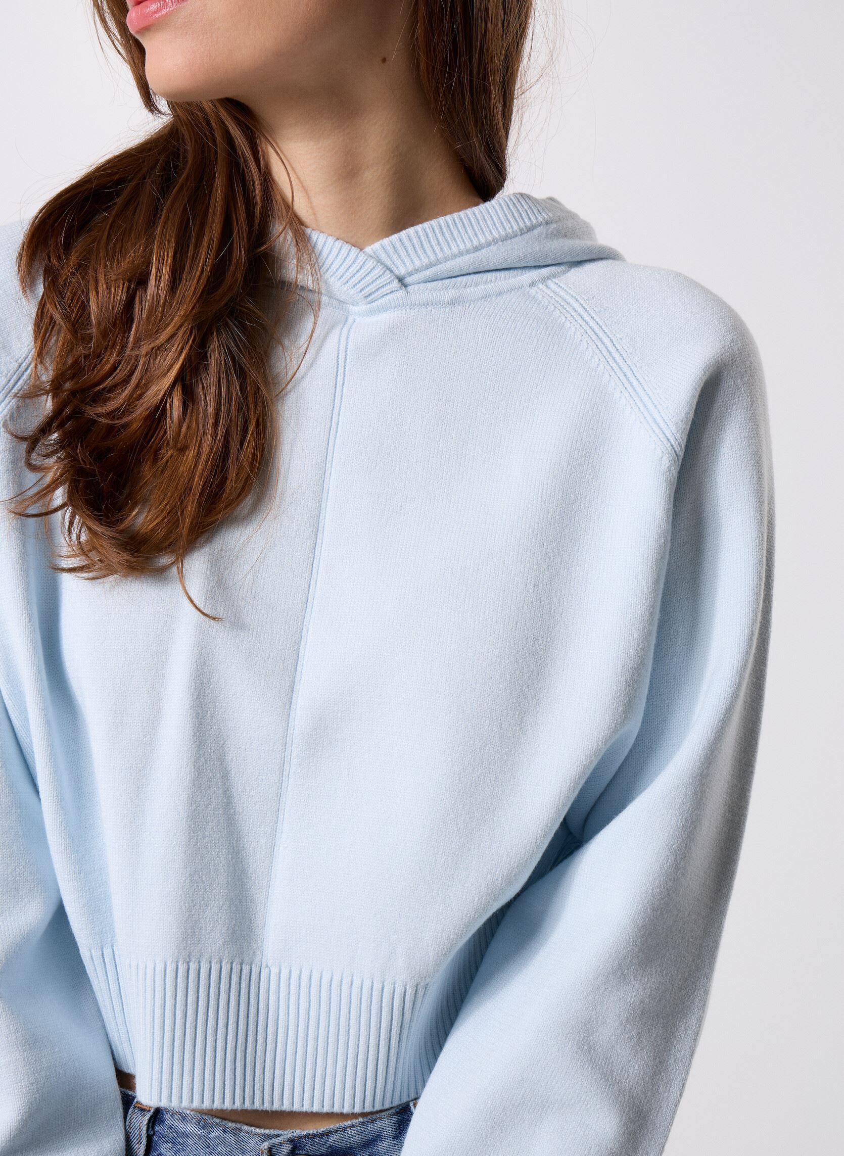 Hoodies Delphine Pull Capuche dames blauw Gertrude Hoodies Delphine Pull Capuche dames blauw GLACIER