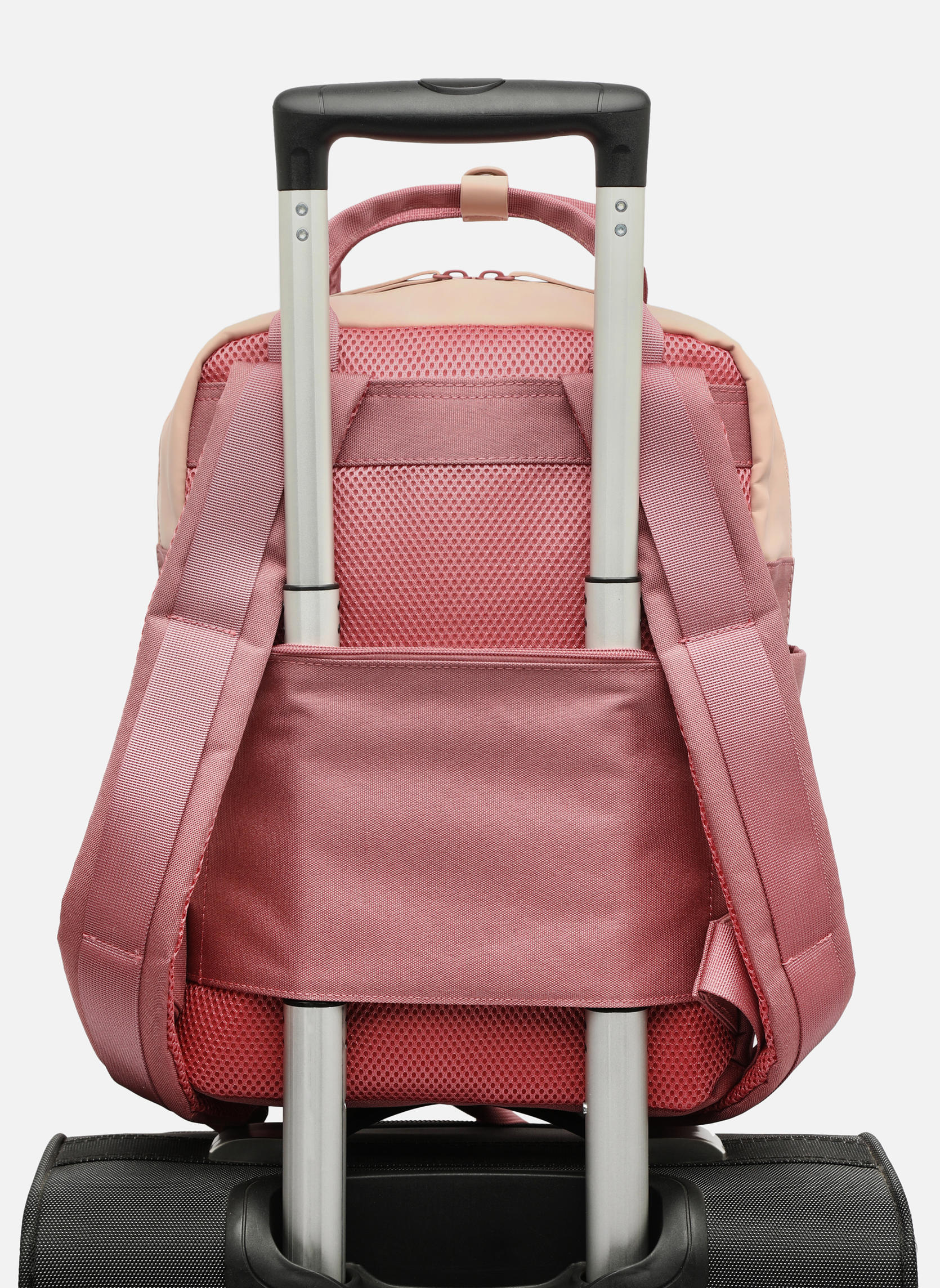 Sacs à dos Mallette pour ordinateur portable Femme Tashe Pink femme rose Misako Sacs à dos Mallette pour ordinateur portable Femme Tashe Pink femme rose Rose