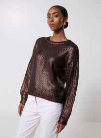 Pulls Pcjavis Ls O-Neck Foil Knit Fc Bc femme marron