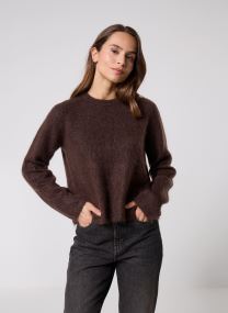 Truien Pcmanika Ls O-Neck Knit Bc dames bruin