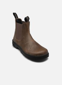Bottines basses NOMADA N5262 femme marron