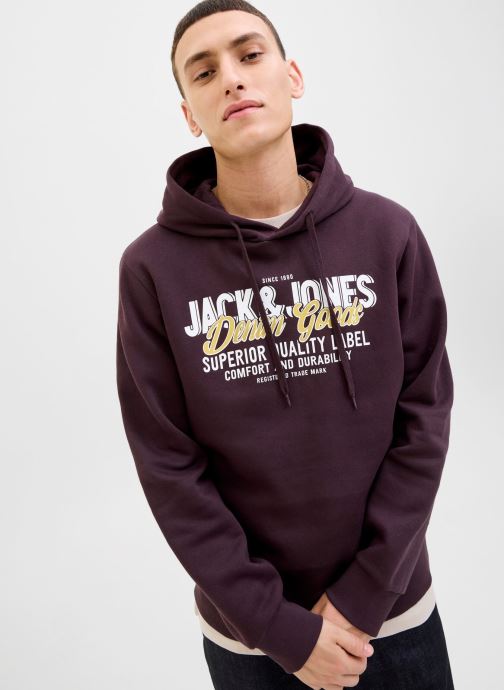 Jack & Jones Sweats à capuche Jjelogo Sweat Hood 2 Col 25/26 Noos homme violet