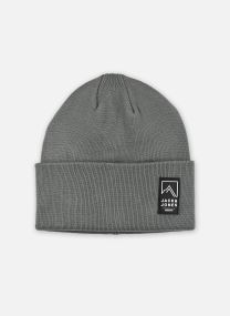 Bonnets Jacalpes Beanie Ski Aw25 homme gris