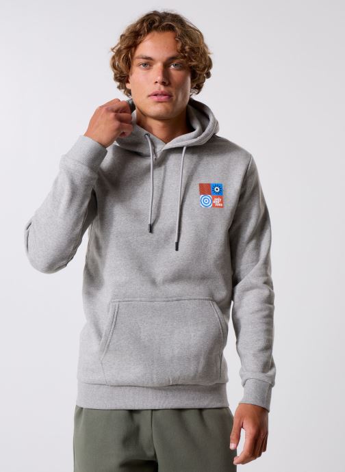 Only & Sons Sweats à capuche ONSCERES LISBAO REG LS HOODIE SWEAT homme gris