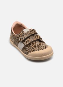 Niedrige Sneaker Tennis leo barefoot braun Igor Niedrige Sneaker Tennis leo barefoot braun MARRON
