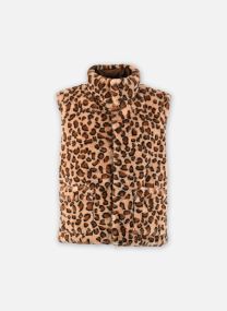 Jacken 252-5GILEO damen mehrfarbig Morgan Jacken 252-5GILEO damen mehrfarbig MULTICO