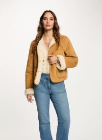 Jassen 252-GPOLI dames bruin Morgan Jassen 252-GPOLI dames bruin CAMEL M