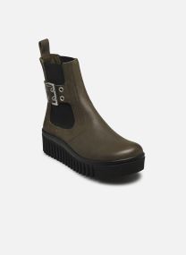 Kaki Roma