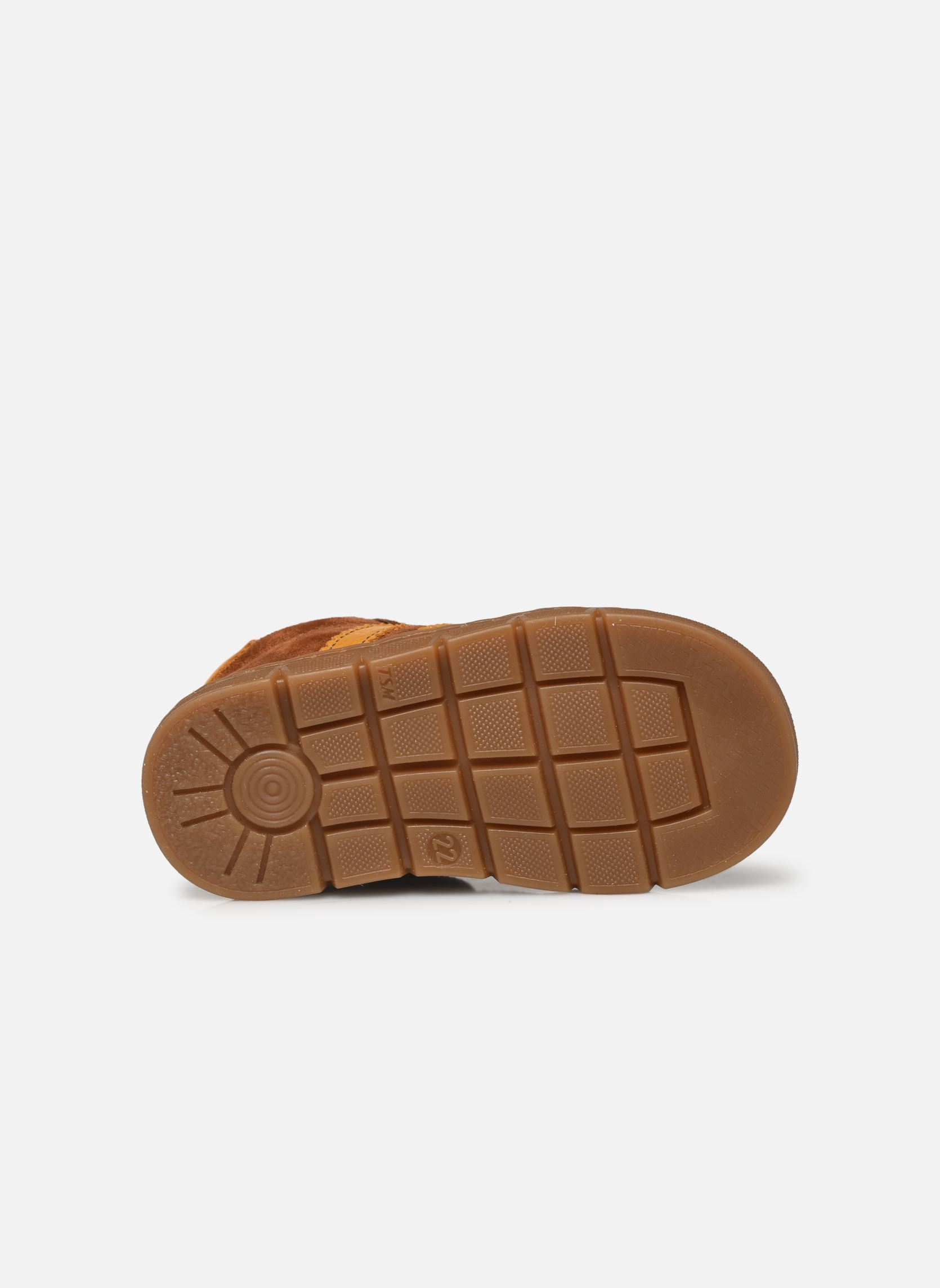 Baskets basses Farel garçon marron Babybotte Baskets basses Farel garçon marron COGNAC
