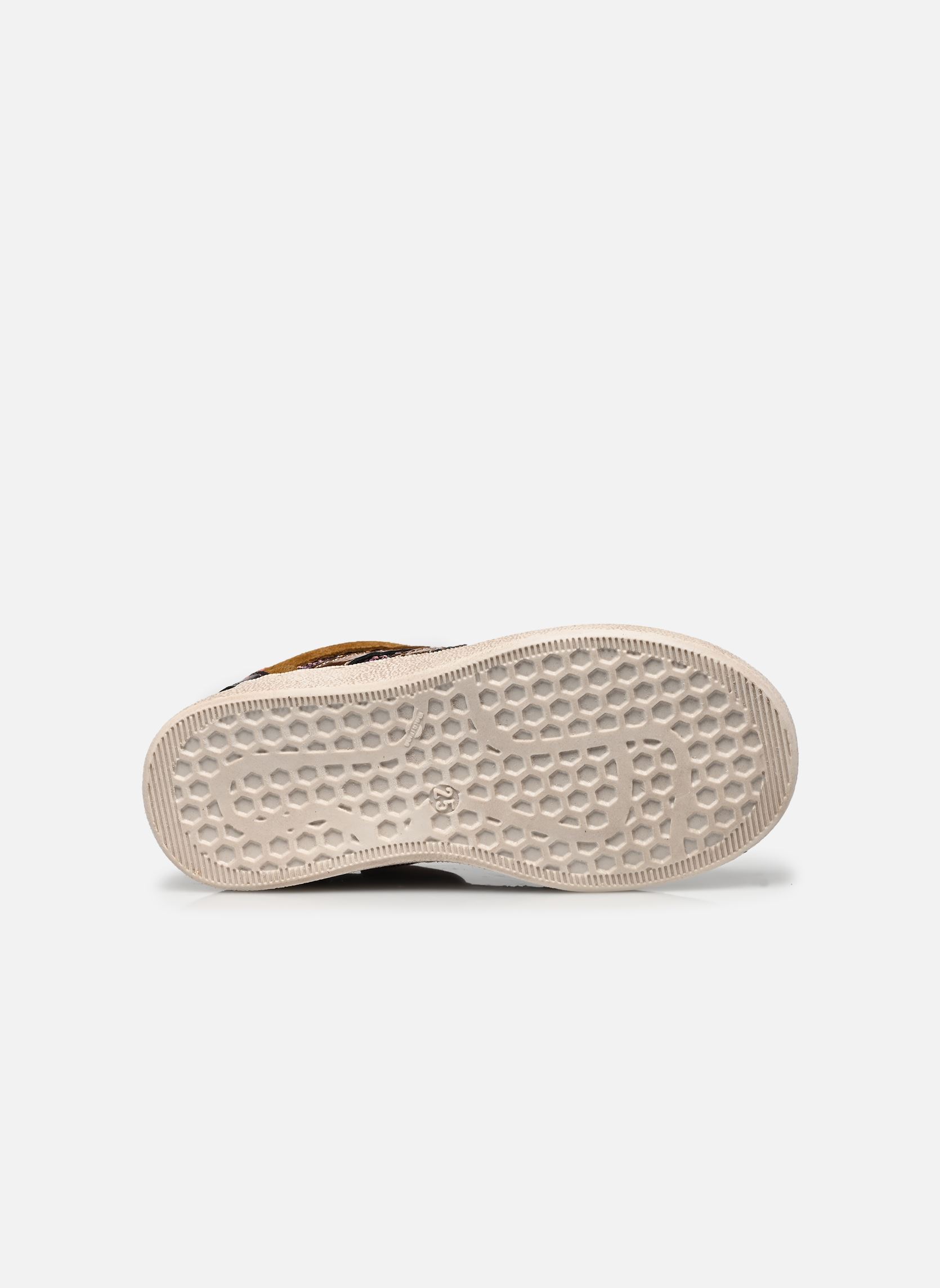 Baskets basses Alberta fille marron Babybotte Baskets basses Alberta fille marron GLITTER